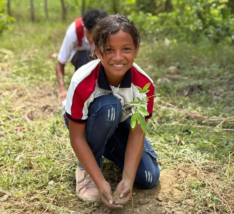 Una niña con uniforme de colegioestá agachada con las maos llenas de tierra porque esta sembrando una semilla de un árbol